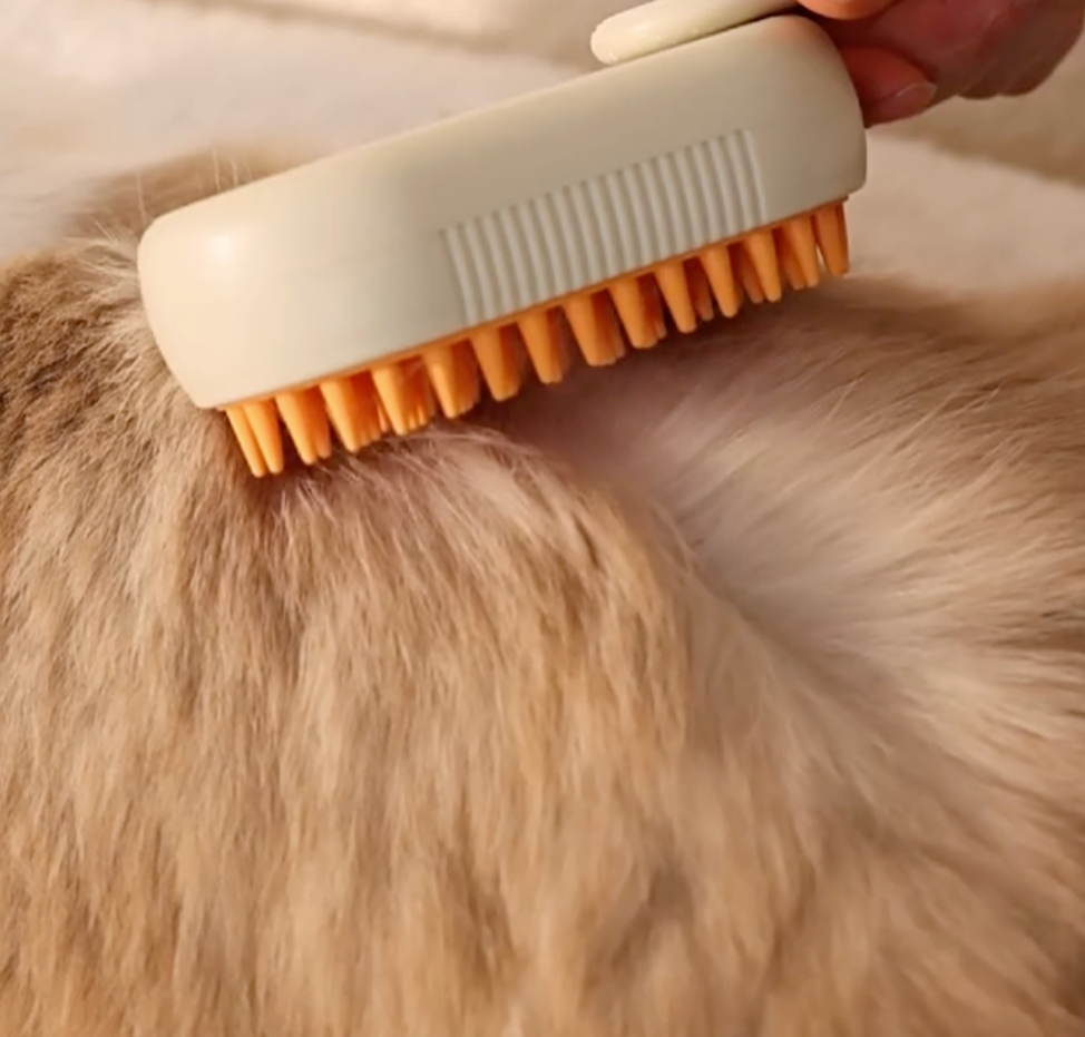 Pet Steam Pro