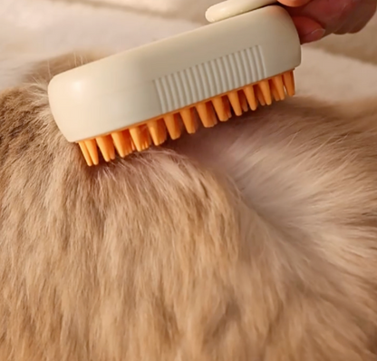 Pet Steam Pro