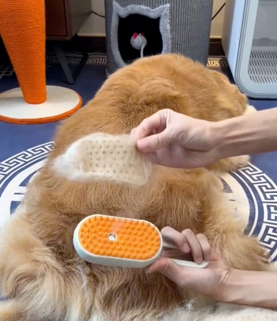 Pet Steam Pro